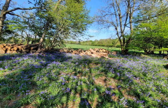 Land for sale in Rickmansworth photo